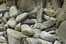 Rocky Shores